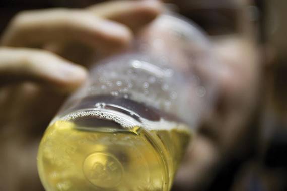 El daño cerebral inducido por el alcohol no cesa al dejar de beber