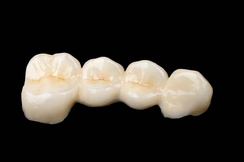 El esmalte que recubre nuestros dientes es el mismo que compartimos con otras especies de animales tetrápodos y peces.