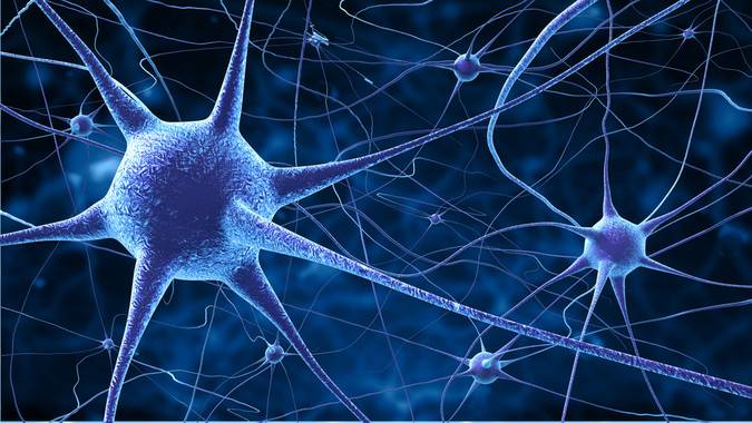 El grupo de neuronas que detecta la ‘música’ de las palabras