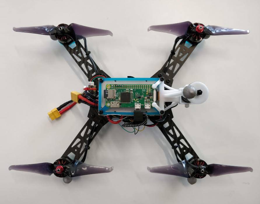 These insect-inspired robots don't need GPS for orientation