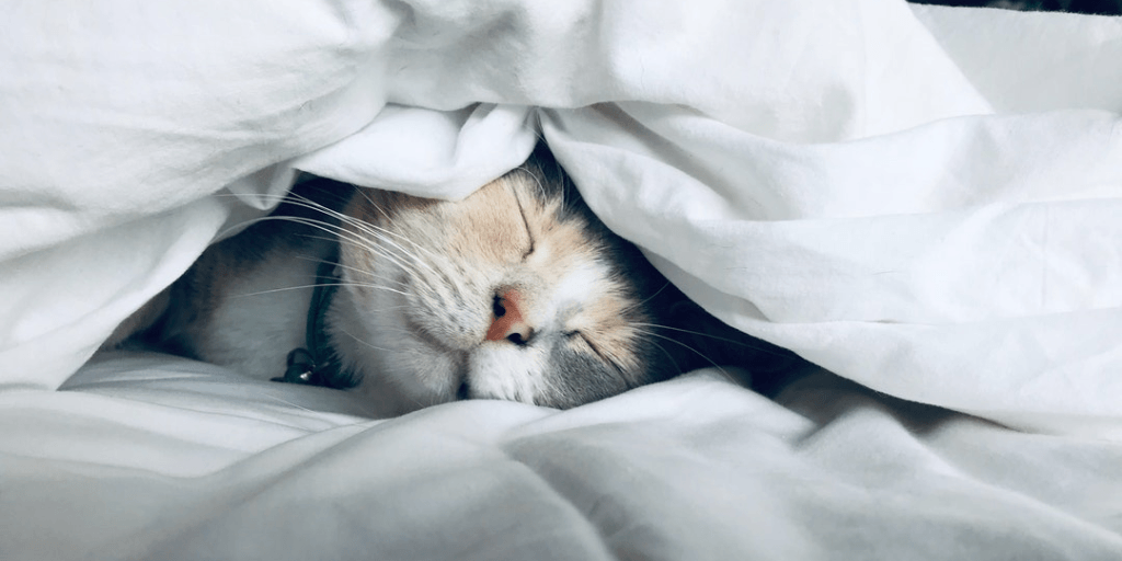 ¿Haces siestas muy largas? Cuidado con la diabetes tipo 2