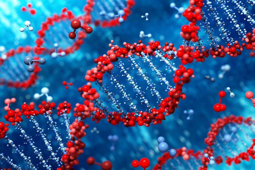 Halladas trece personas con un escudo natural contra enfermedades genéticas