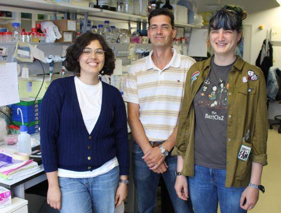 La enfermedad del hígado graso podría curarse a través del cerebro