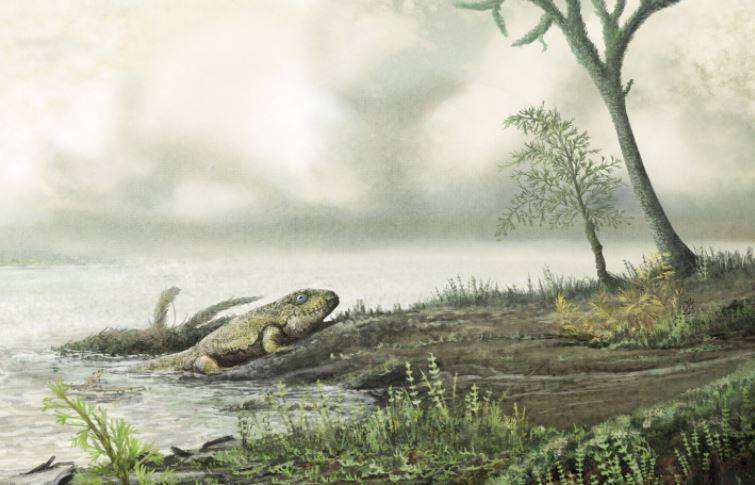 Las superbacterias surgieron mucho antes que los dinosaurios
