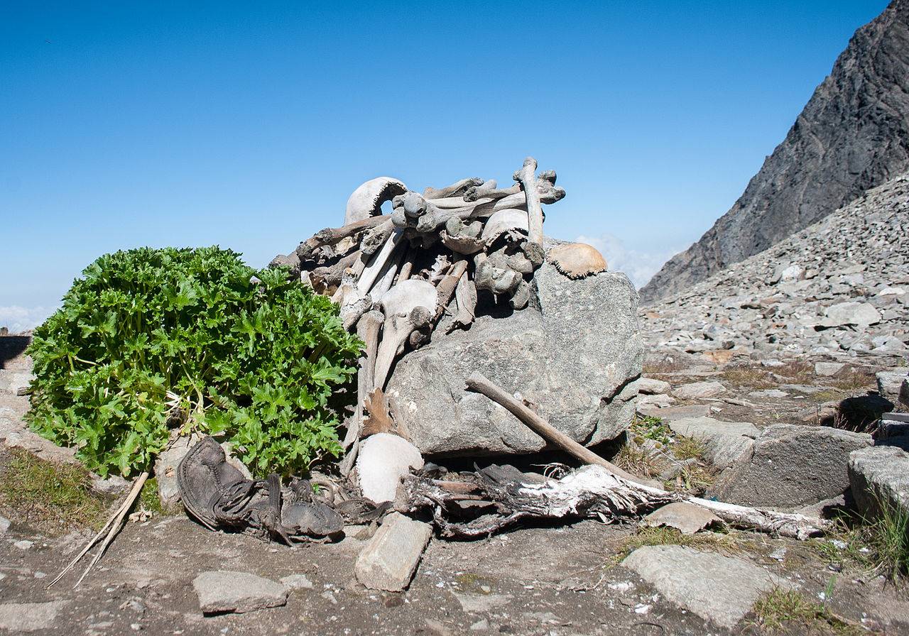 Los esqueletos del lago Roopkund incluyen migrantes mediterráneos  