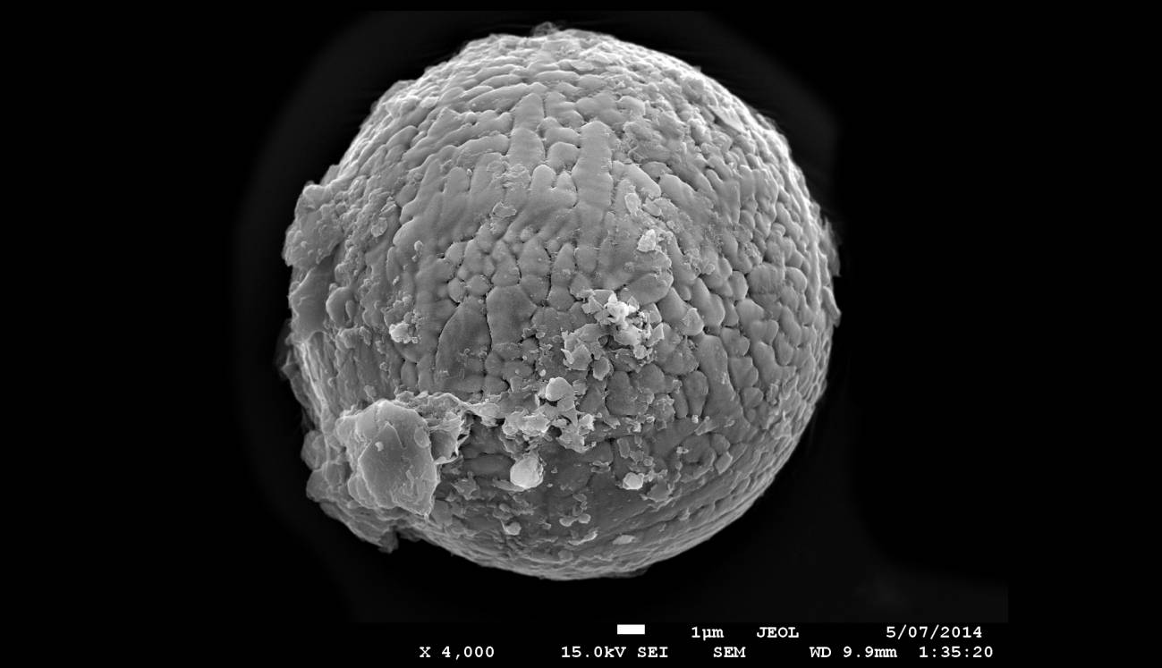 Micrometeoritos fósiles desmontan teorías sobre el pasado de la Tierra 