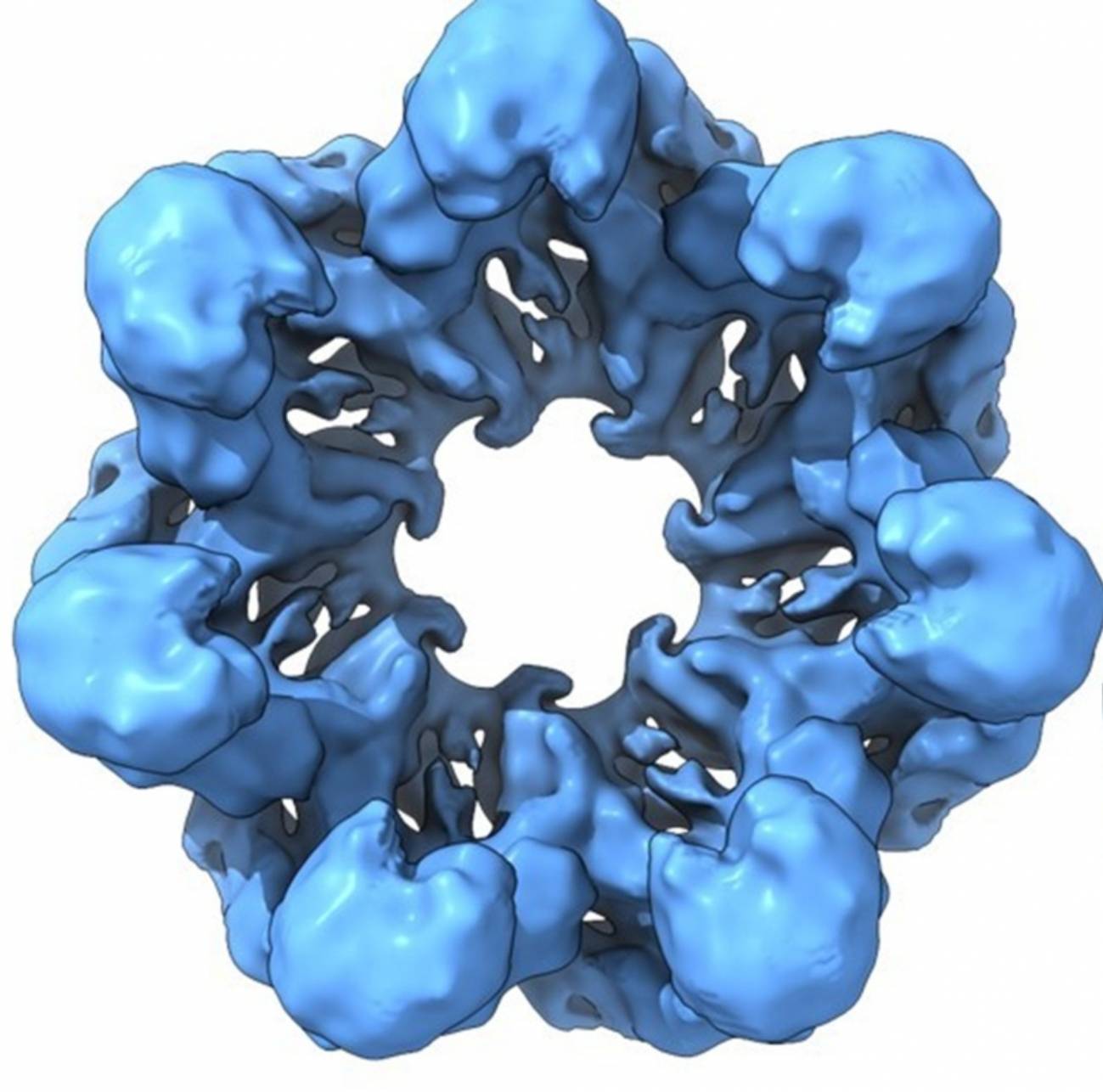 ‘Resucitan’ proteínas de hace 4 000 millones de años para descifrar la evolución celular 