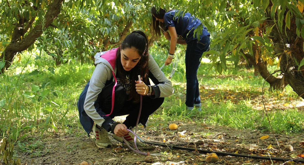 Estudiantes participantes recogiendo moscas de la fruta 