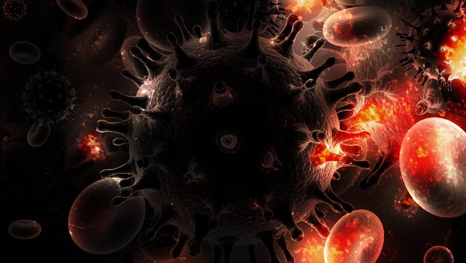Un anticuerpo ‘3 en 1’ protege a los monos del virus del sida simio 