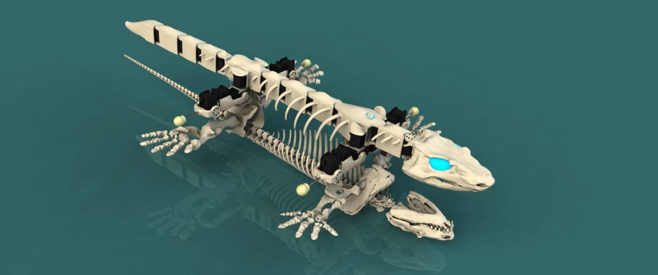 Un biorrobot permite entender los primeros pasos de los vertebrados 