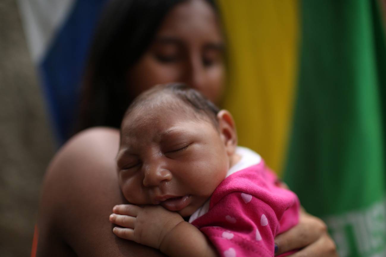 Un inhibidor reduce los efectos del zika en organoides cerebrales