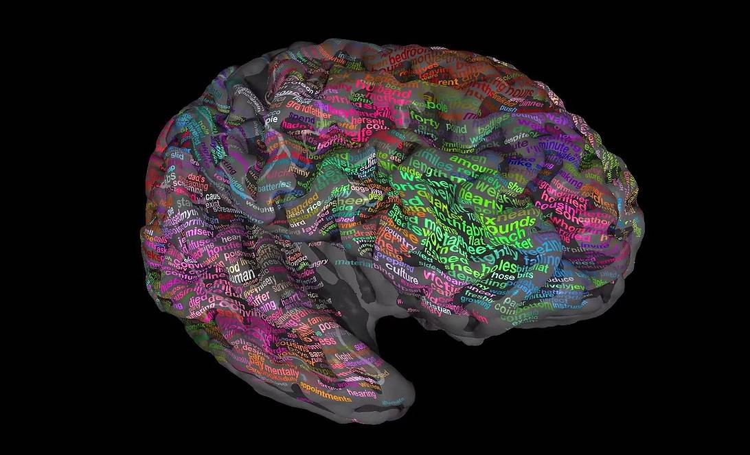 Un mapa cerebral con los significados de las palabras