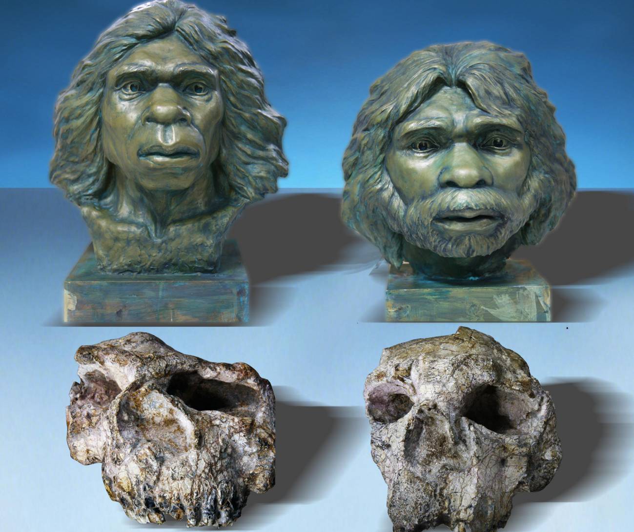 Una nueva datación revela que ‘Homo erectus’ llegó a Asia 600 000 años antes de lo que se pensaba