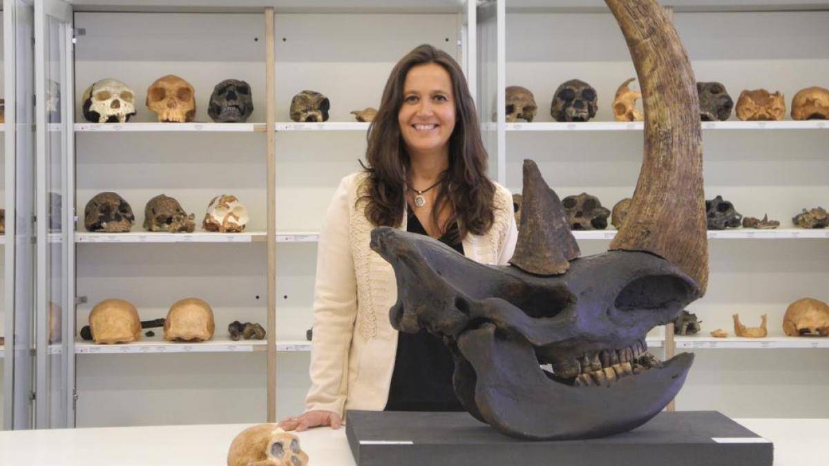 “Debemos desterrar la idea de que un fósil lleva a reescribir la prehistoria”