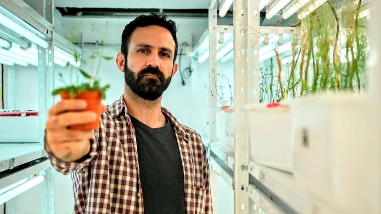 “Gracias a la pandemia, el ARN se instaló en el centro de la biotecnología agrícola”