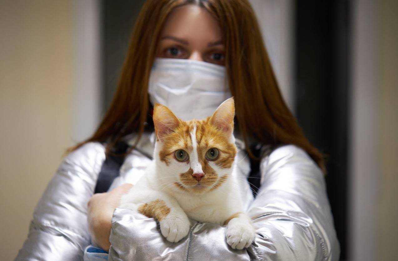 “No hay evidencias suficientes para pensar que los animales que se infectan contagien al humano”