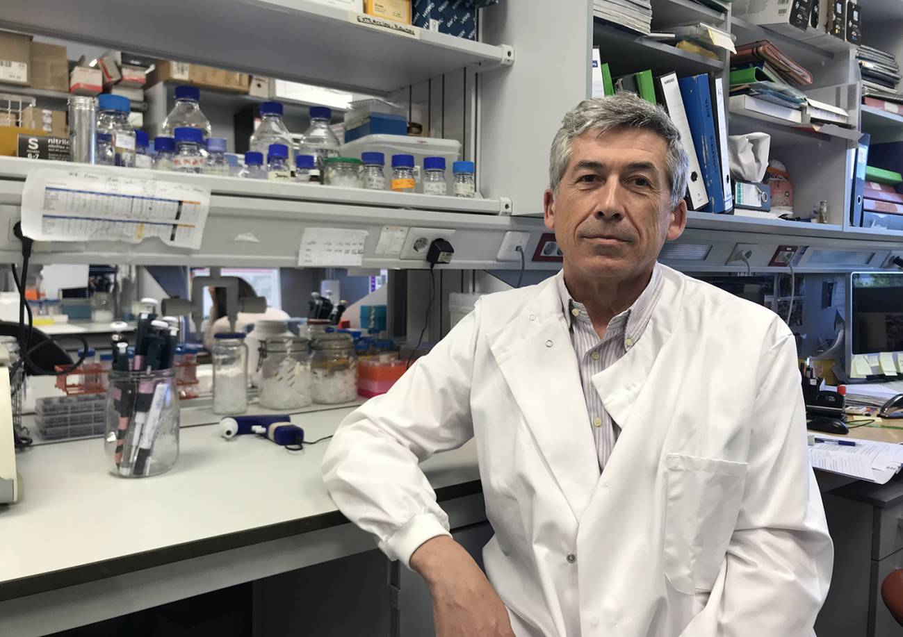 “No sabemos si el virus de la viruela del mono ha cambiado o se ha introducido en un entorno social con más transmisión”
