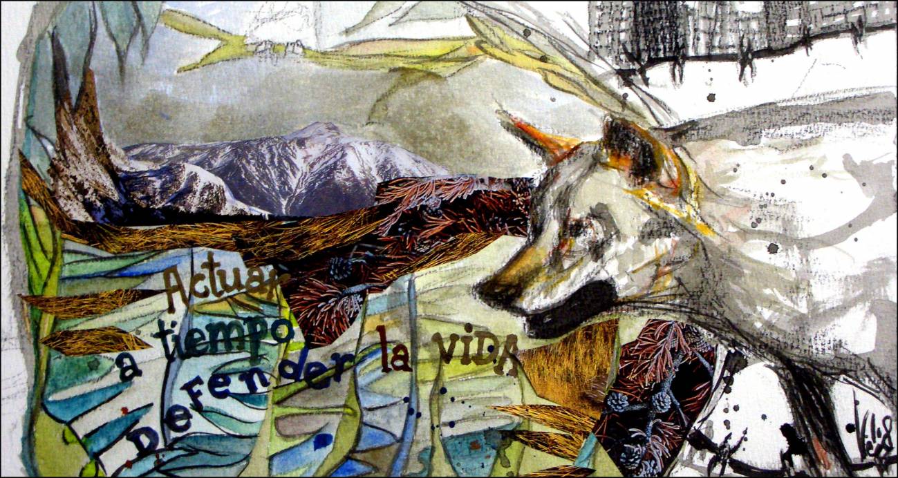 Biodiversidad