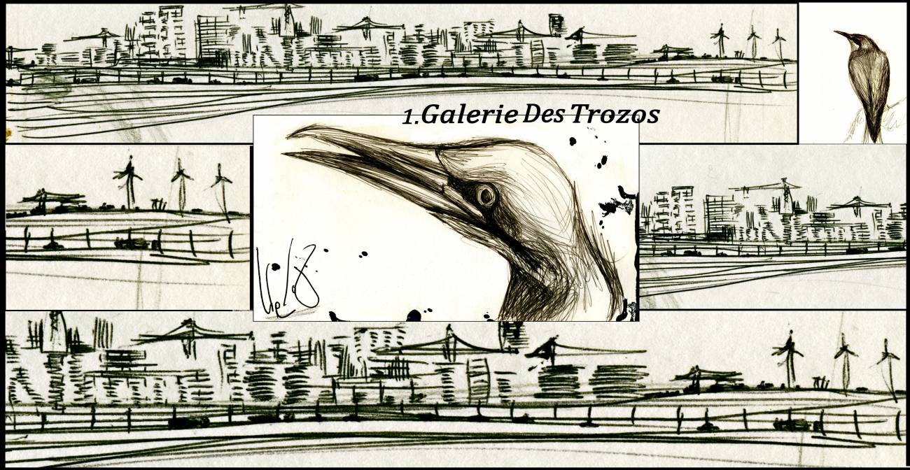 Galería de destrozos ambientales