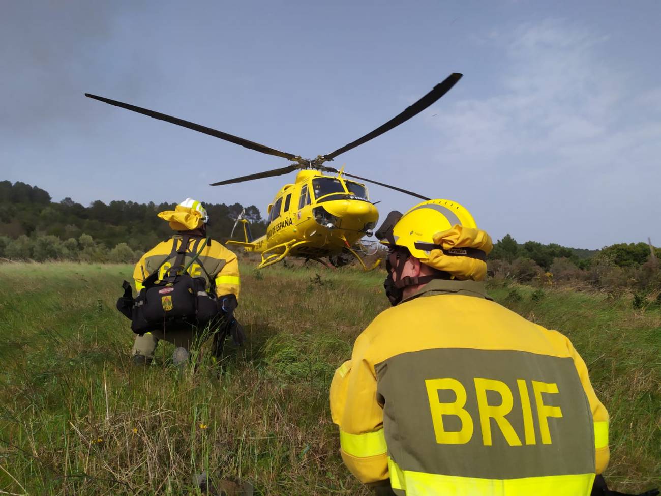 Brigadas de Refuerzo de Incendios Forestales. / MITECO