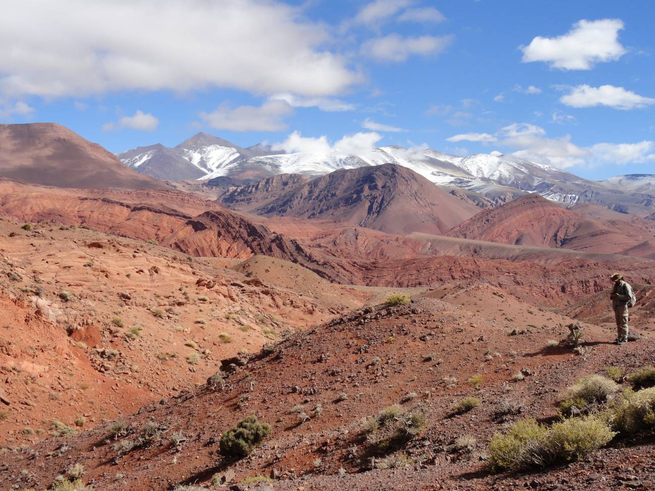 Los restos de Huayracursor fueron descubiertos a 3000 metros de altura en la Quebrada Santo Domingo, Provincia de La Rioja, Argentina. / CRILAR.