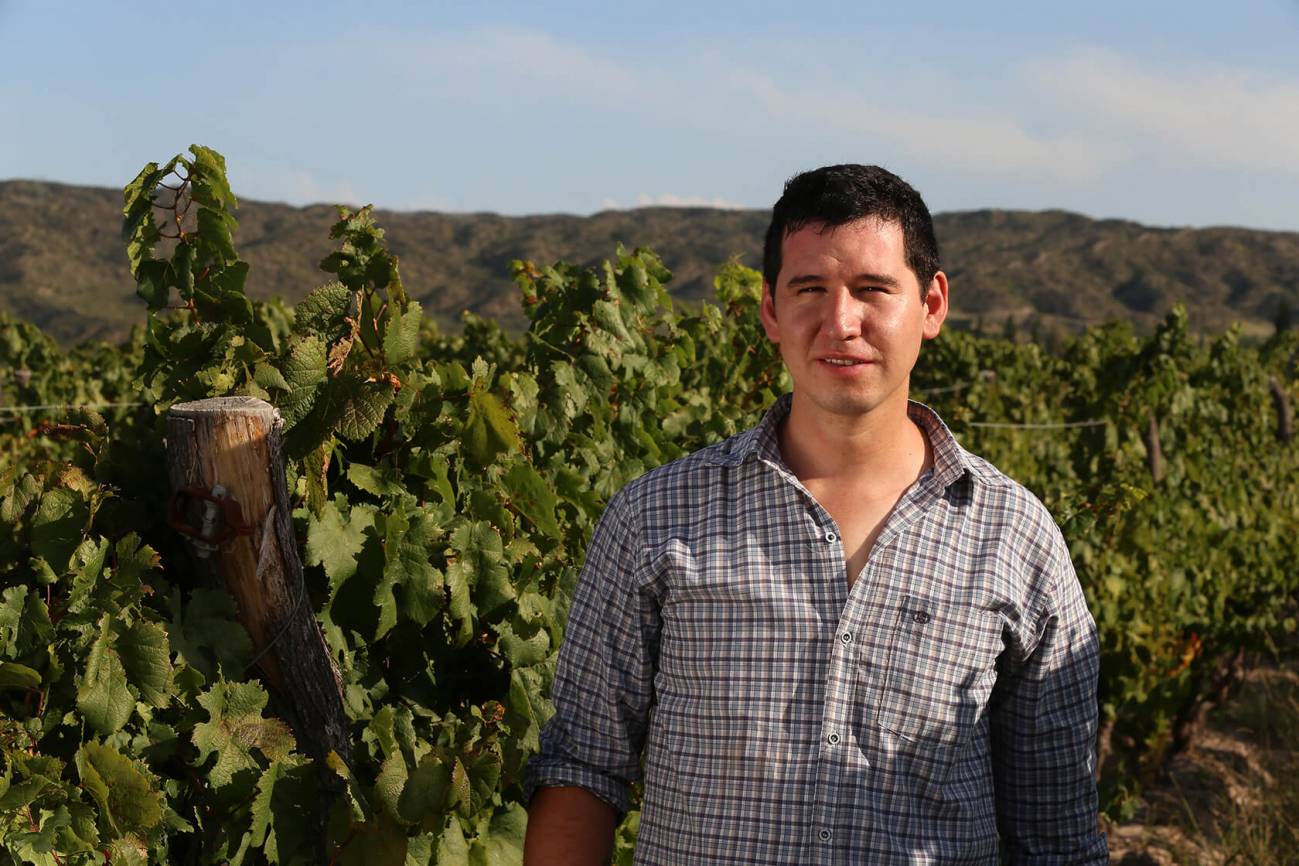 El enólogo Roy Urvieta es uno de los investigadores locales que exploran los misterios de esta variedad de uva que se instaló al pie de la cordillera de los Andes hace 170 años. / Bodega Catena Zapata