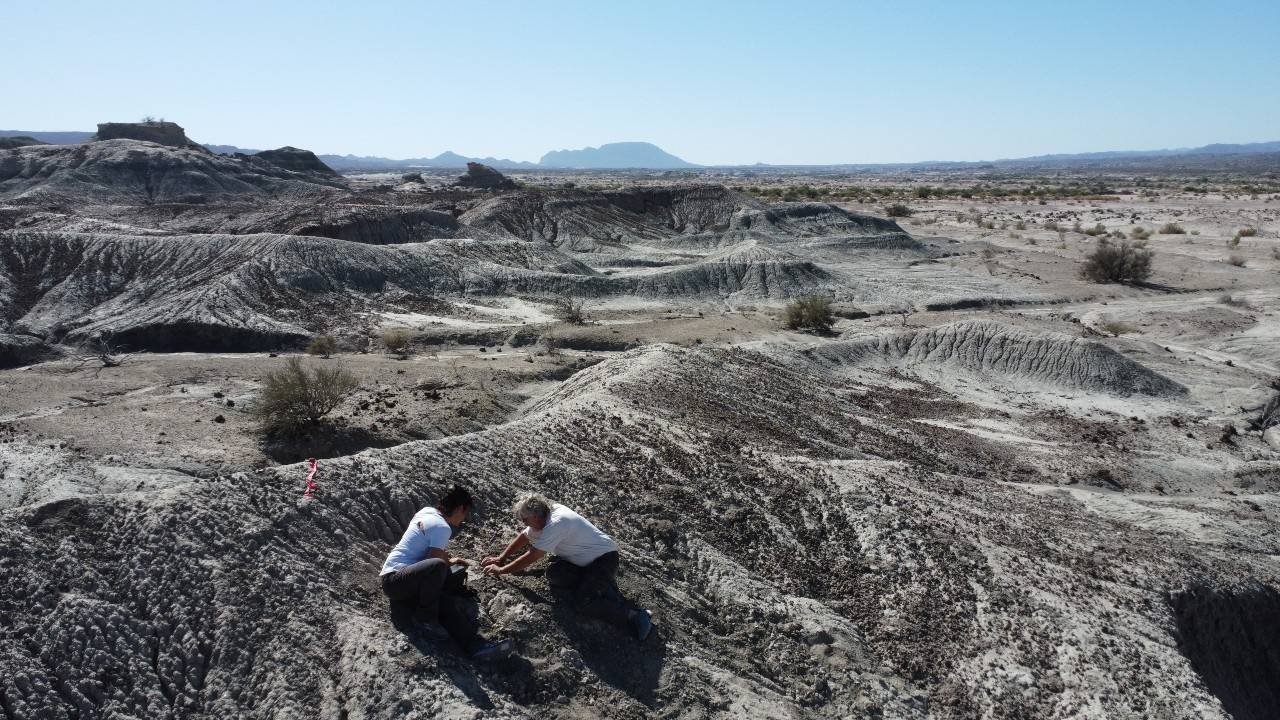 En la Formación Ischigualasto, se descubrieron algunos de los dinosaurios más antiguos