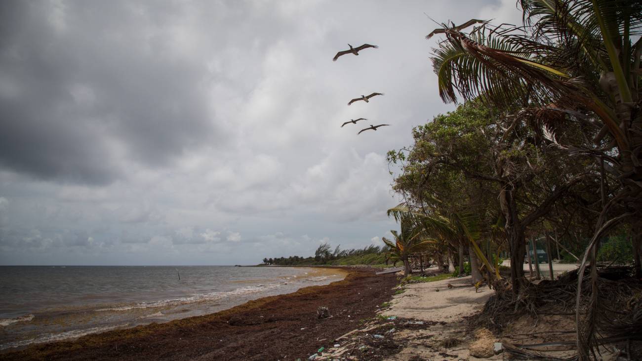 playa caribe