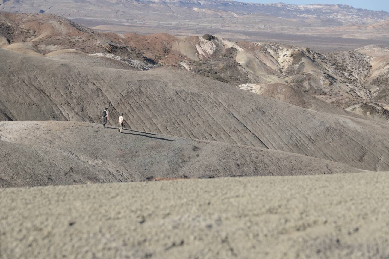 El proyecto “El fin de la era de los dinosaurios en Patagonia” busca entender los cambios y las crisis que tuvieron lugar en el hemisferio sur poco antes de la extinción masiva. / María Agustinho/MEF