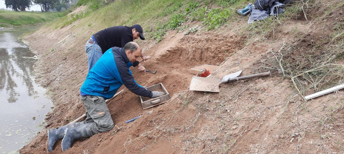 Los restos del gliptodonte fueron encontrados en uno de los márgenes del río Reconquista