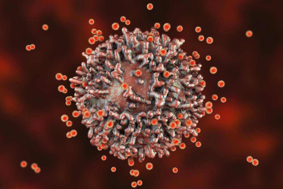 recreación coronavirus