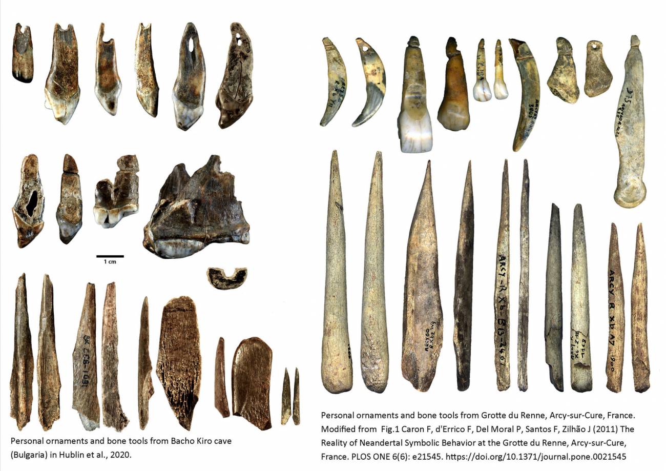 Adornos de humanos modernos y neandertales