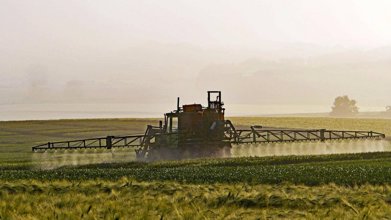 campos de trigo siendo regados