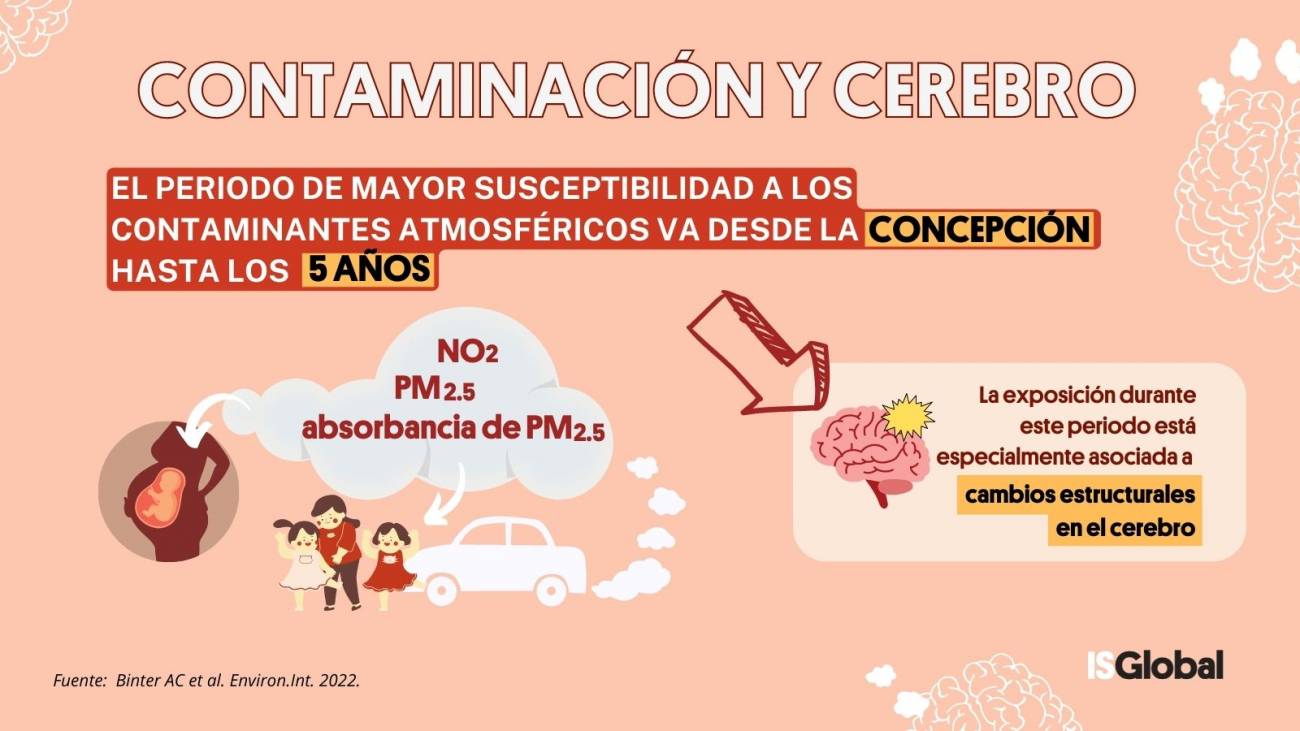 Polución del aire y cerebro. / ISGlobal