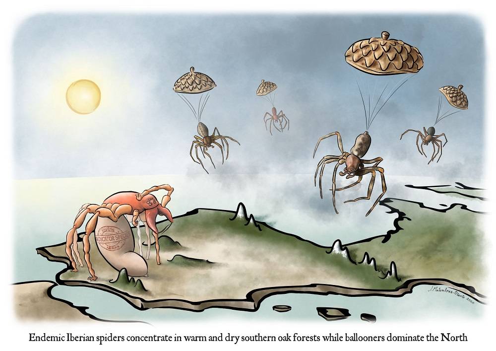 Arañas