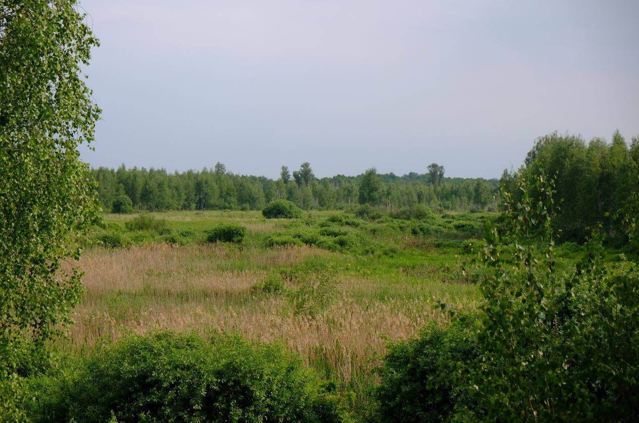 Área de Chernóbil