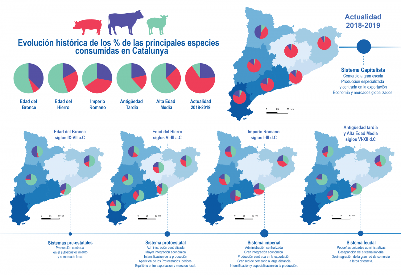 Mapa con la evolución de las principales especies ganaderas consumidas a lo largo de diferentes sistemas políticos, territorios y periodos históricos de Cataluña. / Ariadna Nieto Espinet