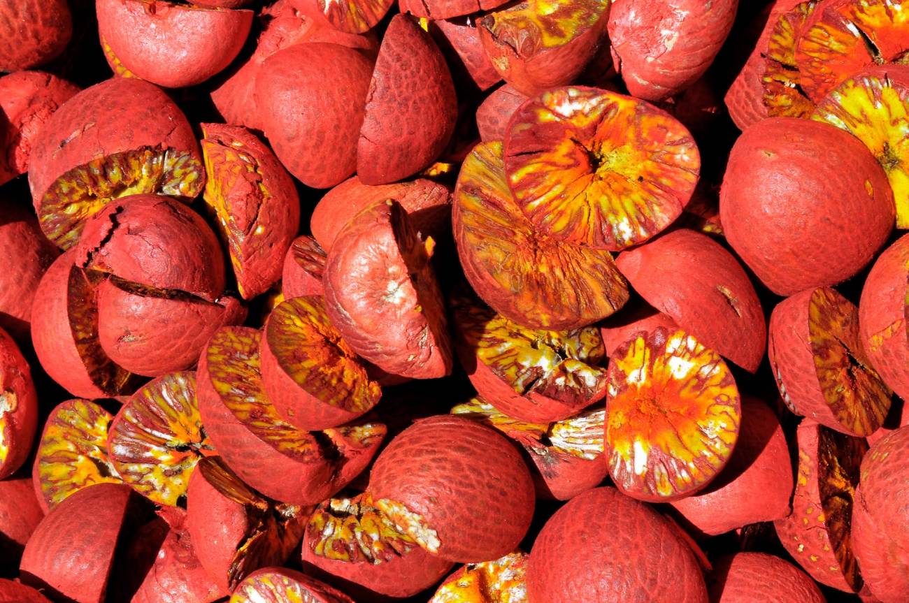 Nuez de betel o areca en un mercado./ Wikimedia Commons.