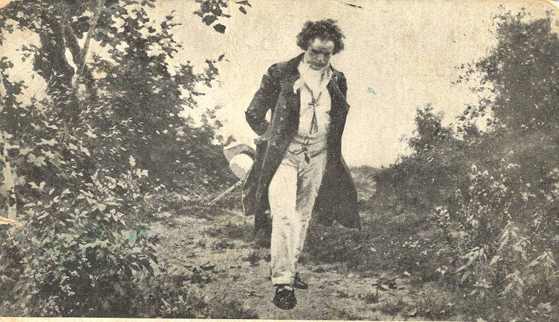 Beethoven de paseo