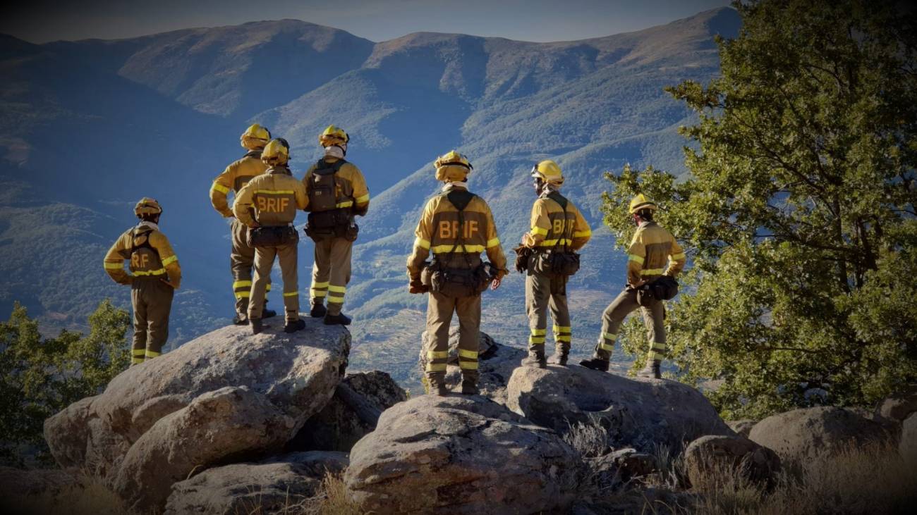 Brigadas de Refuerzo en Incendios Forestales (BRIF). / MITECO