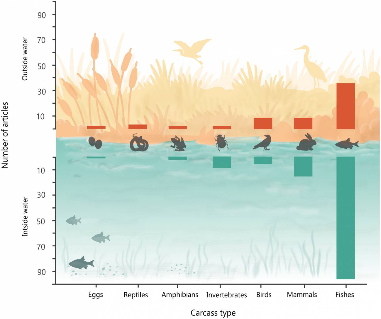 Tipos y ubicaciones de carroña (agua interior  versus  exterior) en los artículos identificados en la revisión sistemática de la literatura. / Orihuela‐Torres, A. et al.