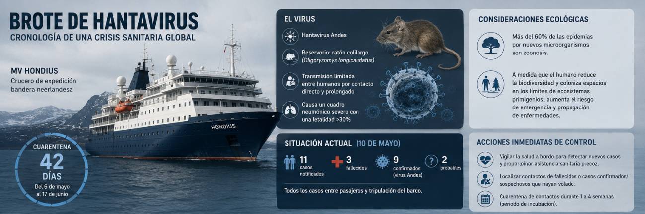 Imagen generada por IA elaborada el 12 de mayo de 2026./Fuentes: Real Academia Nacional de Medicina de España, OMS.