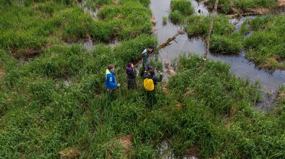 Tramo fluvial en la cuenca del Rin, Suiza, donde se ha realizado el estudio / Christof Angst