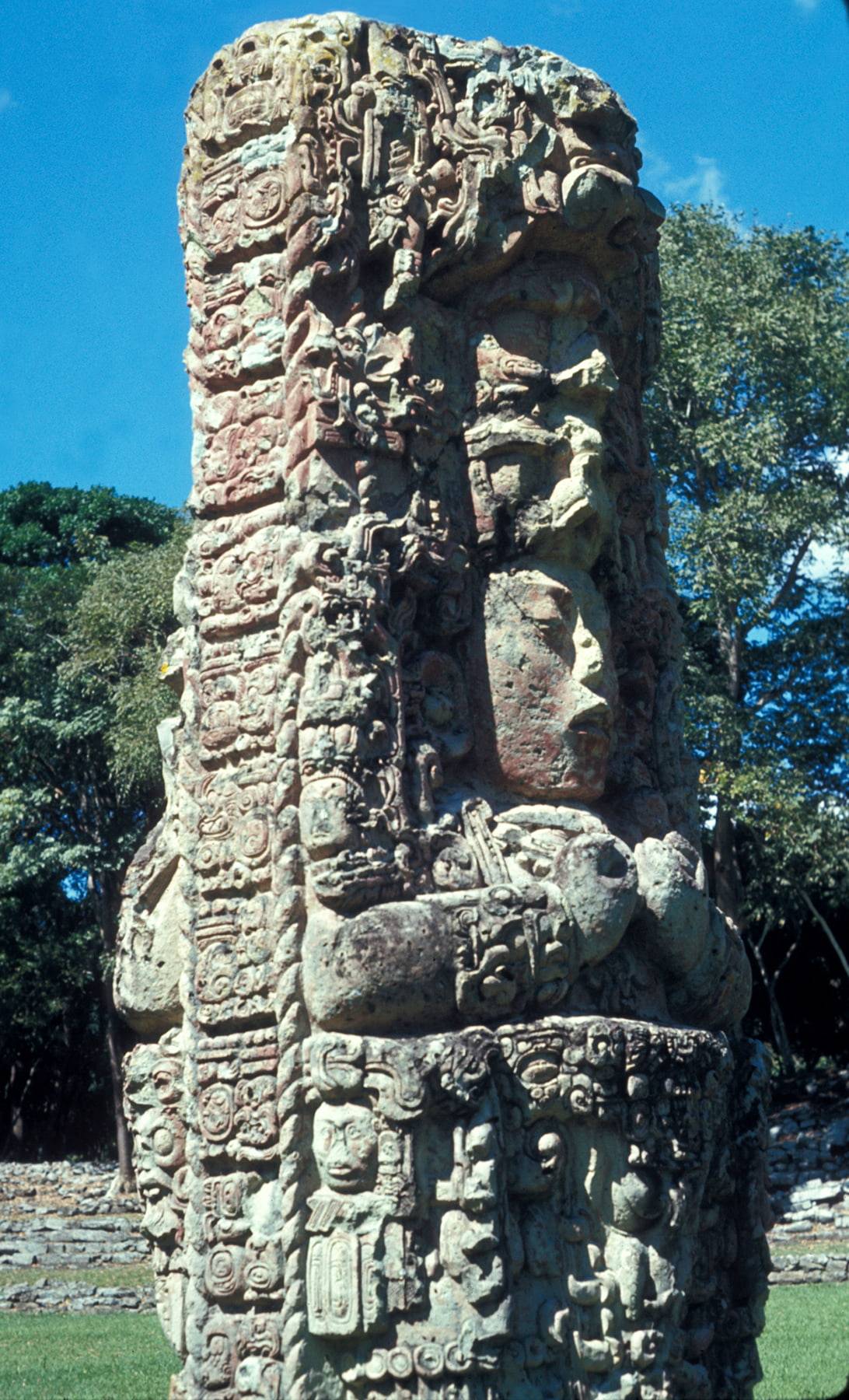 Una estela de piedra tallada con la representación de un gobernante en Copán (una ciudad maya situada en lo que hoy es Honduras), que tenía un sistema de gobierno más autocrático. / Linda Nicholas, Field Museum