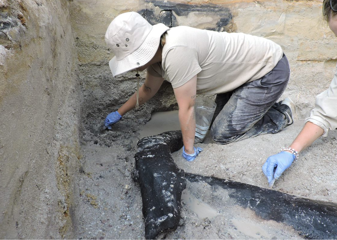 El equipo de excavación descubriendo la estructura de madera. / Profesor Larry Barham, Universidad de Liverpool