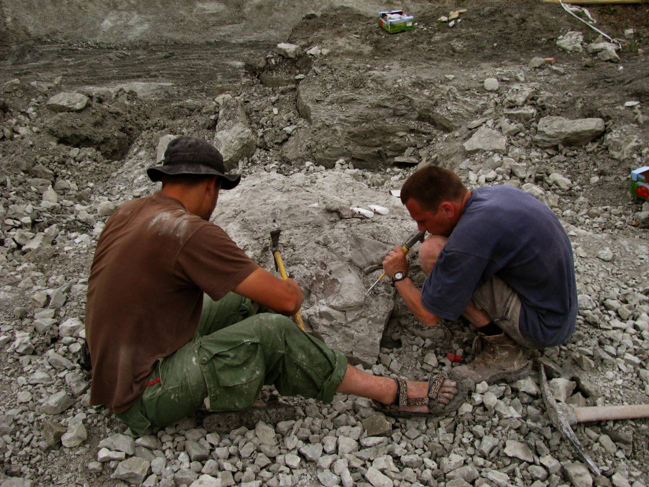 Excavaciones en la localidad del Triásico Superior en Lisowice, Polonia. / Krystian Balanda