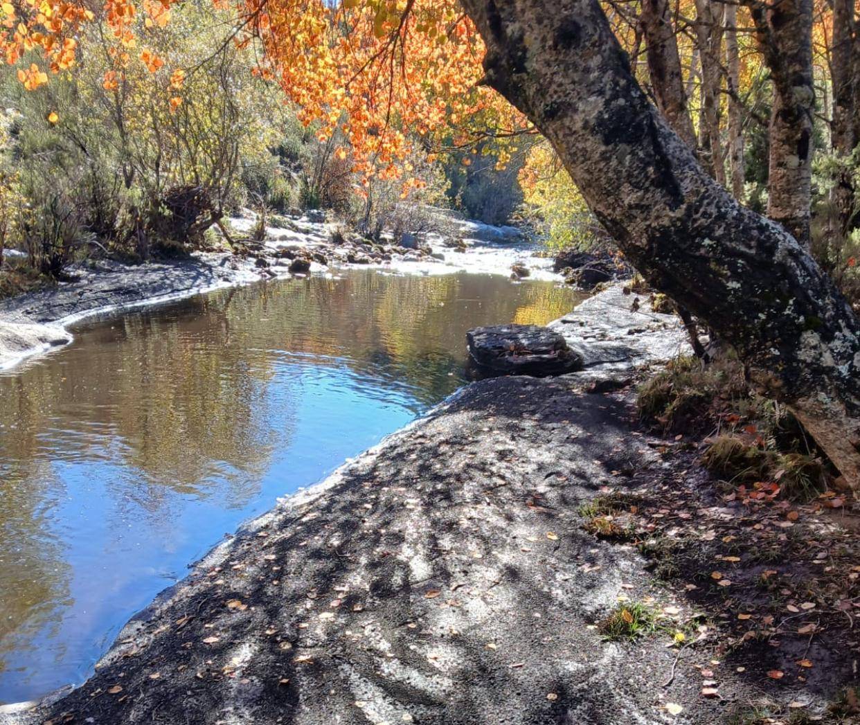 Contaminación por cenizas del incendio / Ecologistas en Acción