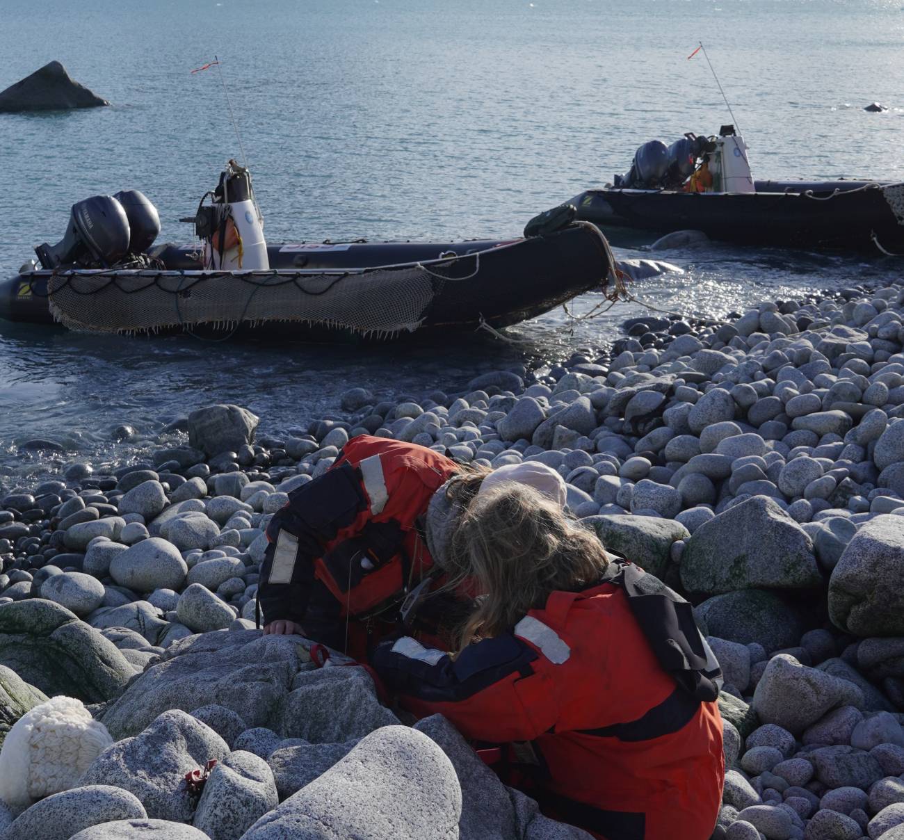 El equipo de Asun Ríos aprovecha un día soleado para recorrer con zodiacs la bahía sur de la isla de Livingston, para la recogida de muestras. / Asun Ríos