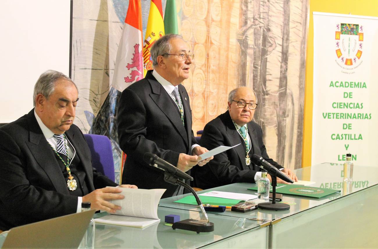 Elías Fernando Rodríguez Ferri