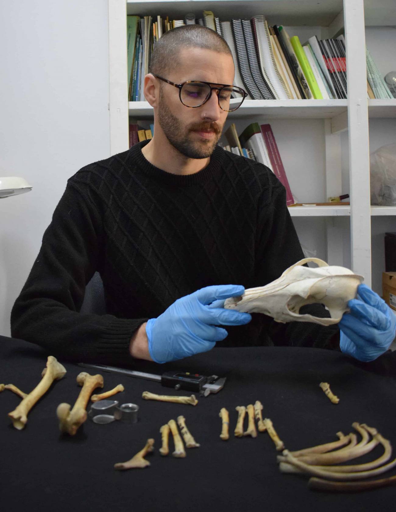 En este estudio, participaron 47 zooarqueólogos, antropólogos y paleogenetistas de Europa y América, como el arqueólogo argentino Lucio González Venanzi. / Lucio González Venanzi